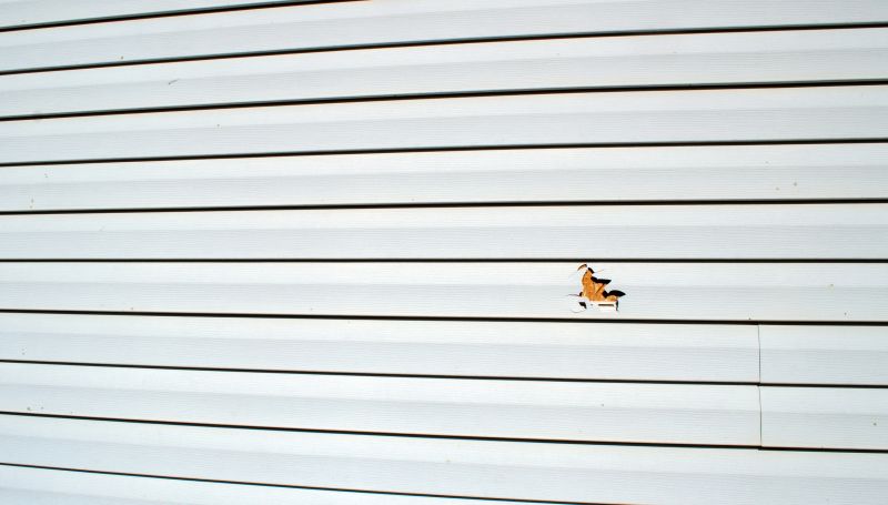 Vinyl Siding Repair Installation - Image 3